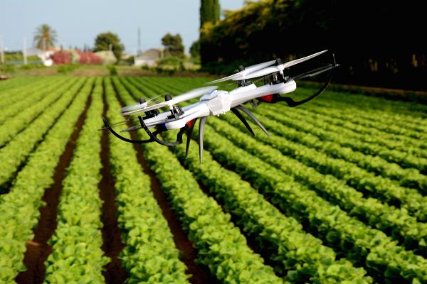 Technology and Food Security